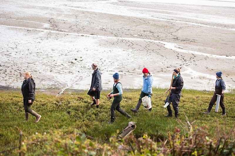 people walking on grass with buckets near the beach